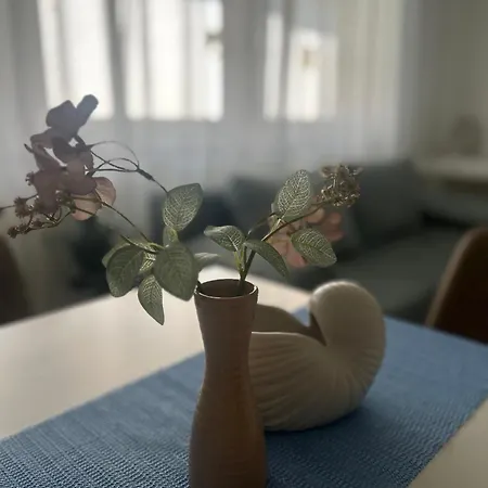 Apartment Spago Hajduszoboszlo